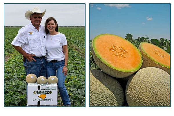 Dixondale Farmers and image of halved cantaloupe