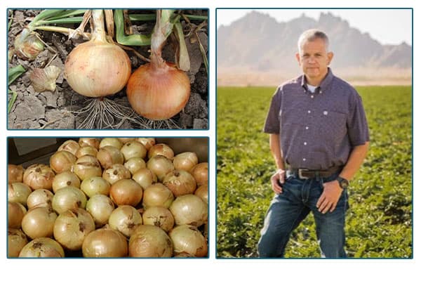 photos of onions in a field and the Frontera farm owner.