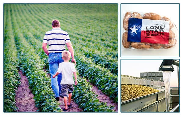 Photo of farmer and son walking through potato field, photo of a bag of potatoes, and photo of potato washing equipment.