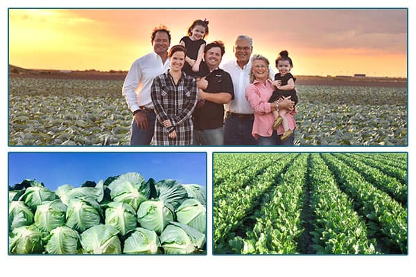 Val Verde family portrait in a field, stacked heads of lettuce and an image of rows in a field.