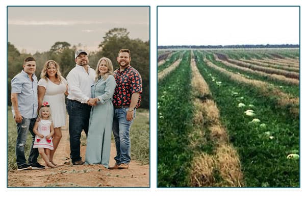 Wiggins Family Farmers and an image of their melon field.