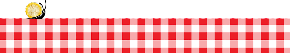red and white gingham