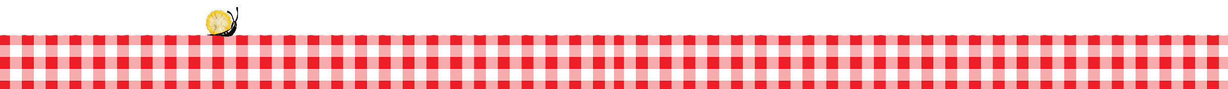 red and white gingham