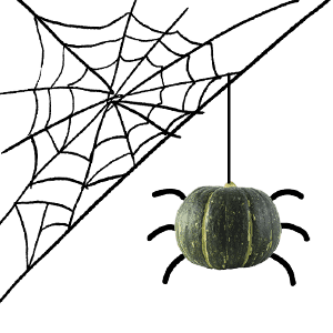 green pumpkin spider on a web