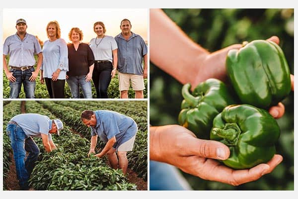 Live Oak farmers and their produce