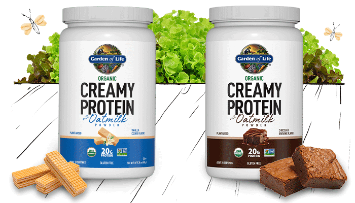 garden of life creamy protein products