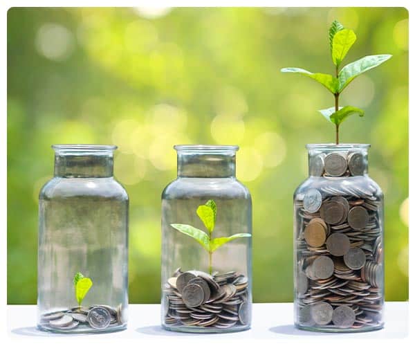 seedlings growing out of coin jars