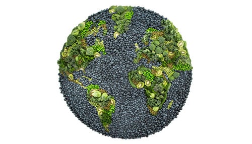 Earth made out of produce