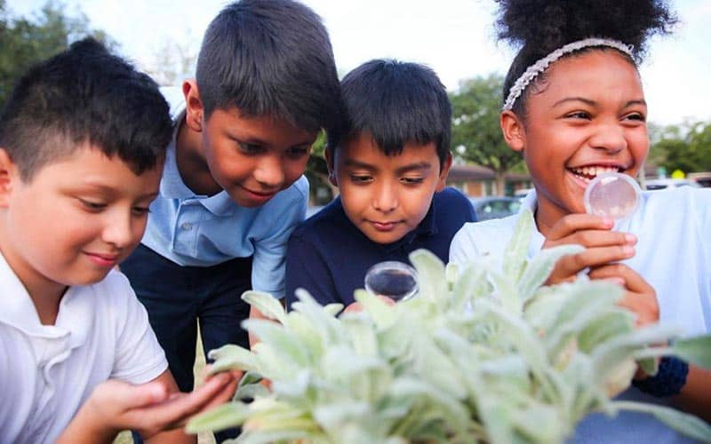 kids looking at a plant