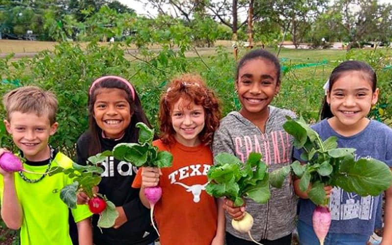 kids holding up turnips