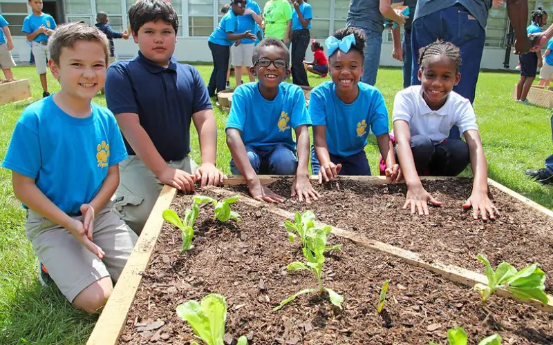 students working in a garden plot