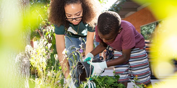 people working in a garden