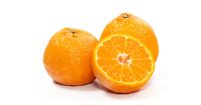 Whole and sliced gold nugget mandarins