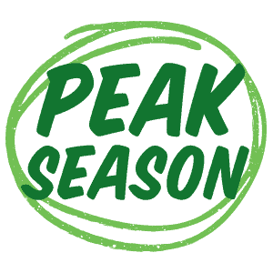 Peak-Season icon