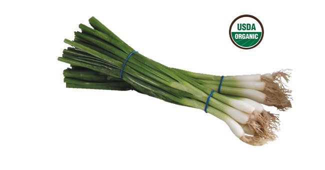 Green Onions next to USDA organic bug