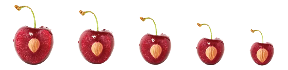 different size cherries, sliced in half to show the pit