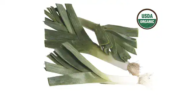 Organic Leeks