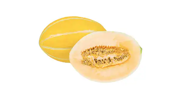 Canary Melon