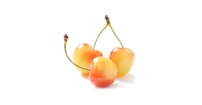 White Cherries