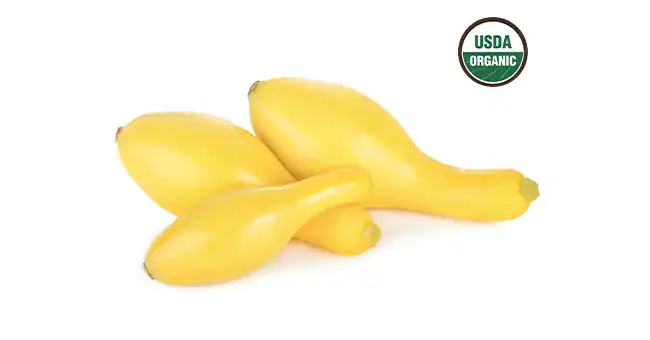 Yellow Squash with USDA Organic Icon