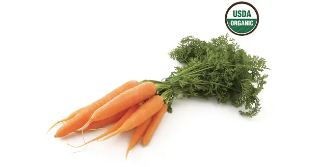 Carrot Bunch next to USDA organic icon
