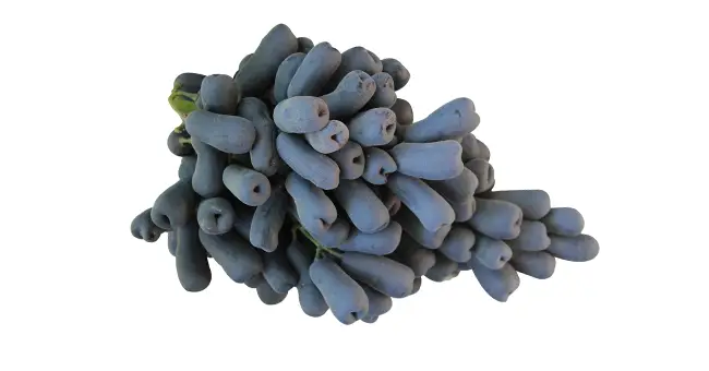 Moondrop Grapes