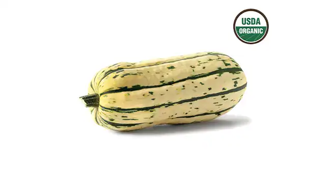 Delicata Squash