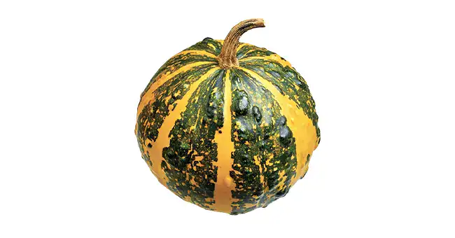 Halloween Striped Pumpkin
