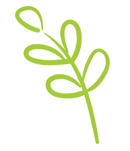 leaf illustration