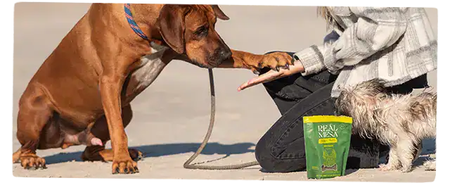 real mesa jerky treats
