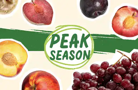 Peak Season Produce logo surrounded by produce.