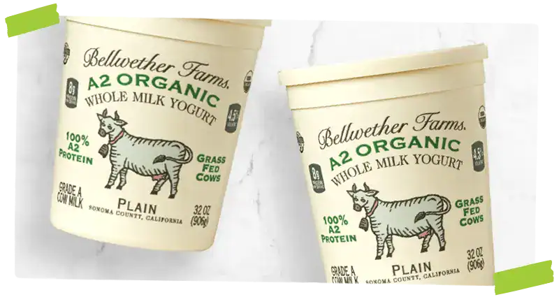 Bellwether Yogurt