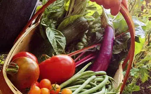 Easy Habits to Start in the New Year!