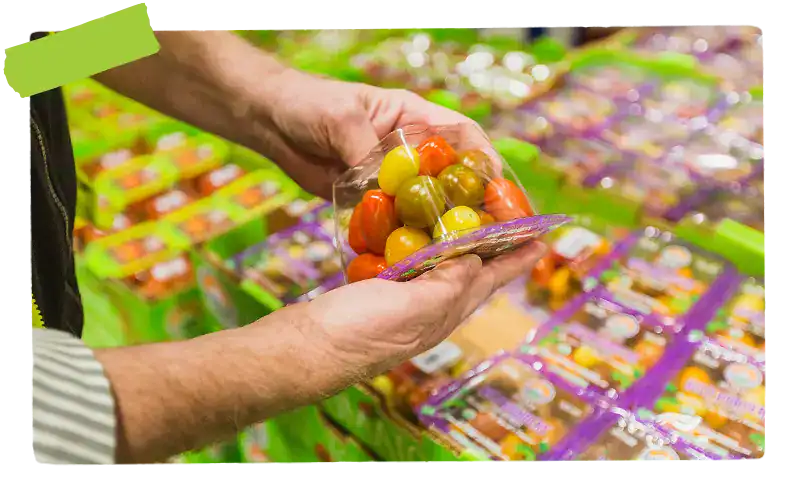 person inspecting tomatoes