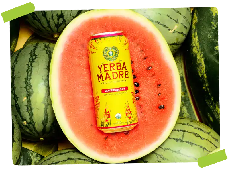 Yerba Madre Watermelody Flavor