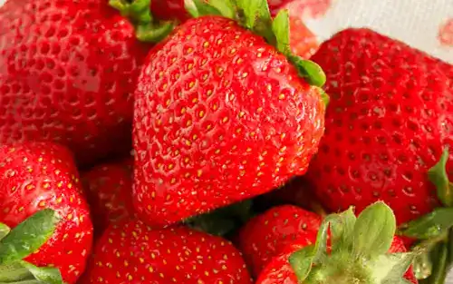 Quick Tips for Shopping Produce