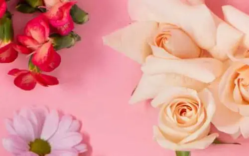 Fresh Blooms That Say, 