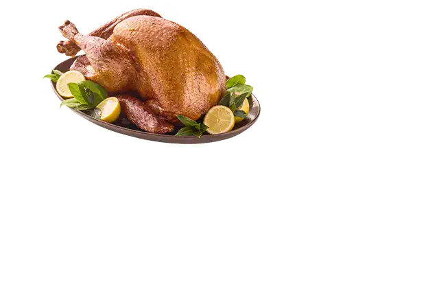 holiday turkey meal